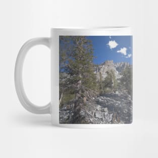 850_6898 Mug